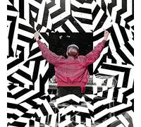 Danger Dan Das ist alles von der Kunstfreiheit gedeckt (Live) (Vinyl LP)