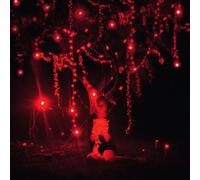 Danger of Light: Deluxe Edition by Sophie Hunger (2013-02-05)