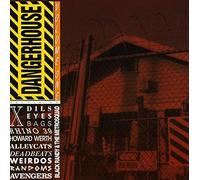 Dangerhouse - Vol. 1-Dangerhouse