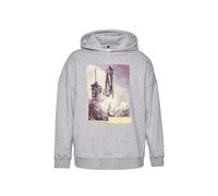 Dangerous DNGRS Felpa con cappuccio Launch Hoody DGHD492T S Grigio