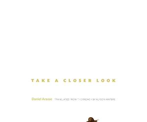 Daniel Arasse Take a Closer Look (Copertina rigida)