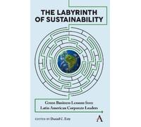Daniel C. Esty The Labyrinth of Sustainability (Tascabile)