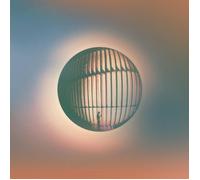 Daniel Ellsworth & the Great Lakes High Life (Vinyl LP)