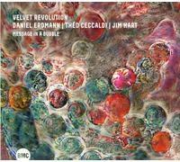 Velvet Revolution Message in a Bubble (CD) Album