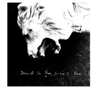 Daniel In The Lion'S Den