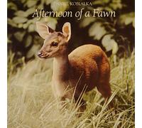 Daniel Kobialka - Afternoon Of A Fawn