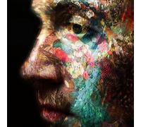 DANIEL O'SULLIVAN - VELD