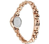 Daniel Wellington DW00100854