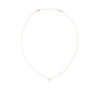 Daniel Wellington - Necklaces - - Accessories - Donna - Giallo - ONE SIZE