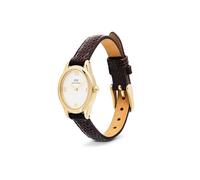 Daniel Wellington Orologio da donna analogico al quarzo 32031821, Marrone, Oro giallo, Bianco, Einheitsgröße, Alla moda