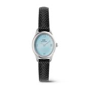 Daniel Wellington - Watches - - Accessories - Donna - Nero - ONE SIZE