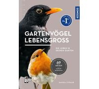 Daniela Strauß Gartenvögel lebensgroß: Die leben in deinem Garten. A (Tascabile)
