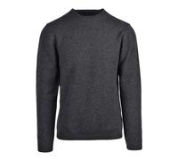 Daniele Fiesoli - Pullover Girocollo - - Knitwear - Uomo - Grigio - L