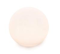 Danieli Sfera Luminosa da Giardino 60cm Made in Italy | Sphere L LED Luce Neutra | Luci a LED da Giardino a Forma di Palla da Esterno-Interno |Trasformatore IP20 da 1,1 mt e LED IP67