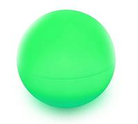 Danieli Sfera Luminosa da Giardino 60cm Made in Italy | Sphere L LED Multicolore con Telecomando | Luci a LED da Giardino a Forma di Palla da Esterno-Interno |Trasformatore IP20 da 1,8 mt e LED IP67