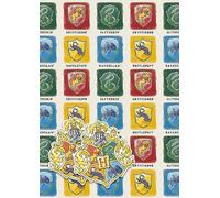 Danilo: Carta da regalo Harry Potter, 2 fogli e 2 etichette