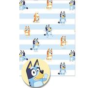 Danilo - Confezione da 3 fogli di carta regalo Bluey, 6 fogli con 6 etichette, Blu, 70 cm x 50 cm, Compleanno