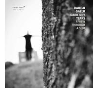 Danilo Gallo Dark Dr - A View Through A Slot