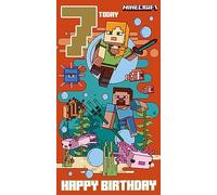Danilo Promotions Ltd MN004 Biglietto di compleanno Minecraft Age 7, multicolore