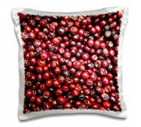 Danita Delimont - Fruits - Asia, India, Darjeeling. Red berries, Fresh Fruits - AS10 KWI0066 - Kymri Wilt - 16x16 inch Pillow Case (pc_132661_1)