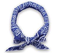 Danlai Sciarpa Estiva Collo Cooler Bandana Summer Body Ice Cooling Wrap Tie Sciarpa Rinfrescante Fascia Multifunzione Asciugamani Polso Fascia