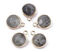 DanLingJewelry 10 pezzi di perle naturali di labradorite charms per pietre preziose sfaccettate piatte rotonde per gioielli fai da te produzione di collane bracciali