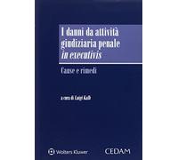Danni da attività giudiziaria penale in executivis - cause e rimedi