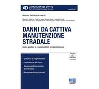 Danni da cattiva manutenzione stradale
