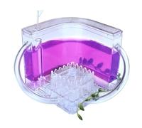 DANNMPX Fattoria di Formiche Kit di Osservazione del Castello delle Formiche Fattoria Gel Traslucido per Allevamento Nidi Scienza Del'habitat Kit Scientifica(Purple)