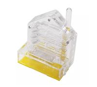 DANNMPX Fattoria di Formiche Kit per L'educazione E L'apprendimento delle Scienze Naturali del Castello Formiche di per L'habitat Acrilico per La Fattoria Kit Scientifica