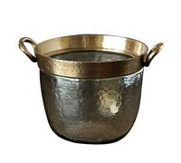 DANNMPX Secchiello Ghiaccio Contenitore per Cubetti di Ghiaccio Secchiello per Champagne Moderno Luce per Il Lusso Decorazione Ornamenti Semplici Raffreddatore