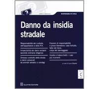 Danno da insidia stradale