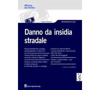 Danno da insidia stradale