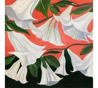 Danny George Wilson Another Place (Vinyl LP) 12" Album