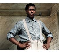 Danny Glover The Colore Viola [1041398] 8x10 Foto Altre Misure Inc Poster)