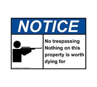 Danny Penaw Targa decorativa - Cartello di avvertimento "No Trespassing Nothing On This Property is Worth Dying for.30,5 x 20,3 cm Targa in latta Art DecorFor Office Pool Yard Parking Decor