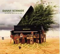 Danny Schmidt Instead the Forest Rose to Sing (CD) Album