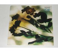 DANNY WILSON - the second summer of love / i'll be waiting