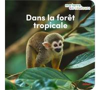 Dans la forêt tropicale