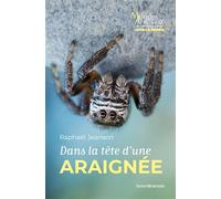 Dans la tête d'une araignée