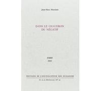 Dans le chaudron du négatif