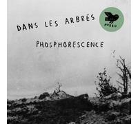 Dans Les Arbres Phosphoresence (Vinyl LP) 12" Album