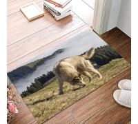danxceh Tappetini da Bagno Tappetino da Doccia Assorbente Antiscivolo Lavabile,Tappeto da Bagno con Supporto in Gomma per,Alaskan Malamute, Cane di razza pura Montagne nebbiose Alberi Compag,40x60cm