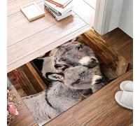 danxceh Tappetini da Bagno Tappetino da Doccia Assorbente Antiscivolo Lavabile,Tappeto da Bagno con Supporto in Gomma per,Una mamma e il suo cucciolo Adorabile primo piano dell'asino in mini,40x60cm