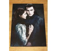 Danza Der Vampire Poster - " Das Musicale " Lucy Scherer,Jan Ammann - Groß A1