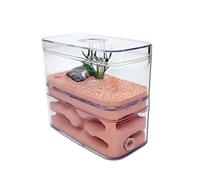 DAPERCI Formicaio Kit Formicaio Facile da Osservare Intonaco Ecologia Naturale Formicaio Acrilico Trasparente Officina Formica Terrario