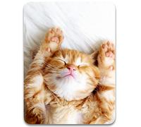 Dapesuom - Tappetino per mouse piccolo, 15,2 x 20,3 cm, base in gomma antiscivolo, impermeabile, bello, donna, uomo, bambini, mouse wireless, portatile, vassoio tastiera, casa, ufficio, viaggi, gatto