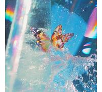 DAPHNI - BUTTERFLY