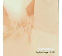 D'Arcangelo - Broken Toys Corner