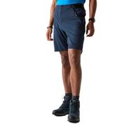 Dare2b Torrek Lite Shorts Blu 38 Uomo